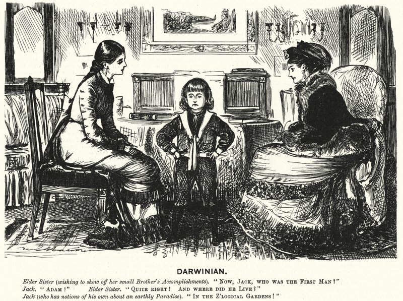 Punch-Karikatur (Gravur) von George (after) Du Maurier