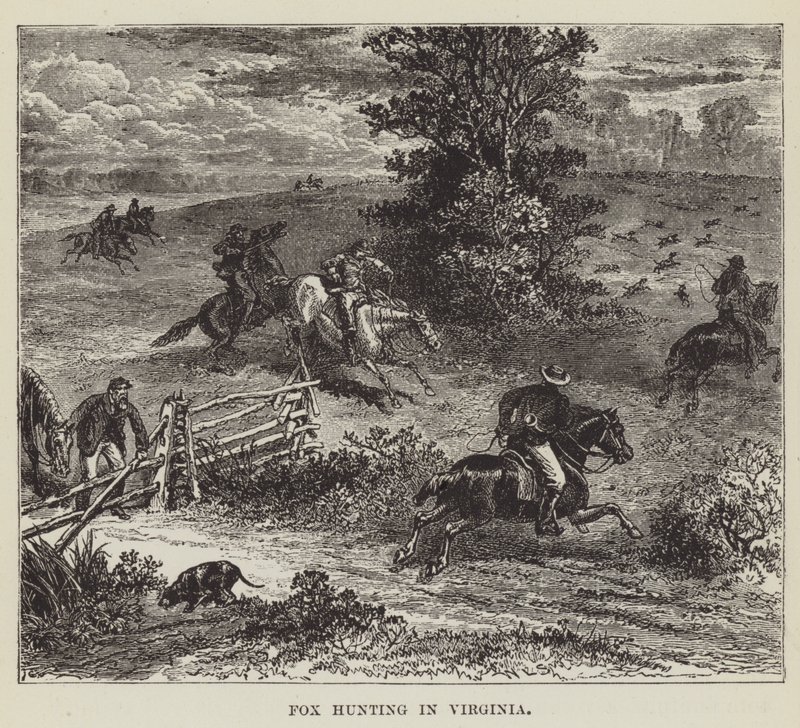 Fuchsjagd in Virginia von George Augustus Sala