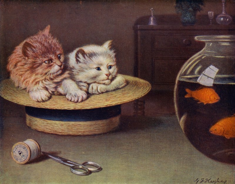 Beobachten von George H. Hughes