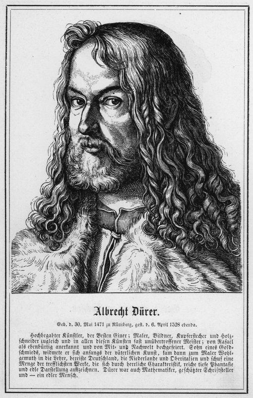 Albrecht Dürer von German School