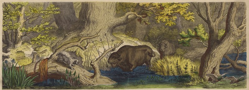Wald in Litauen von German School