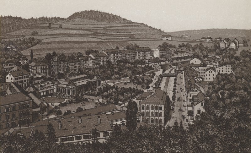 Gartenzeile von German School