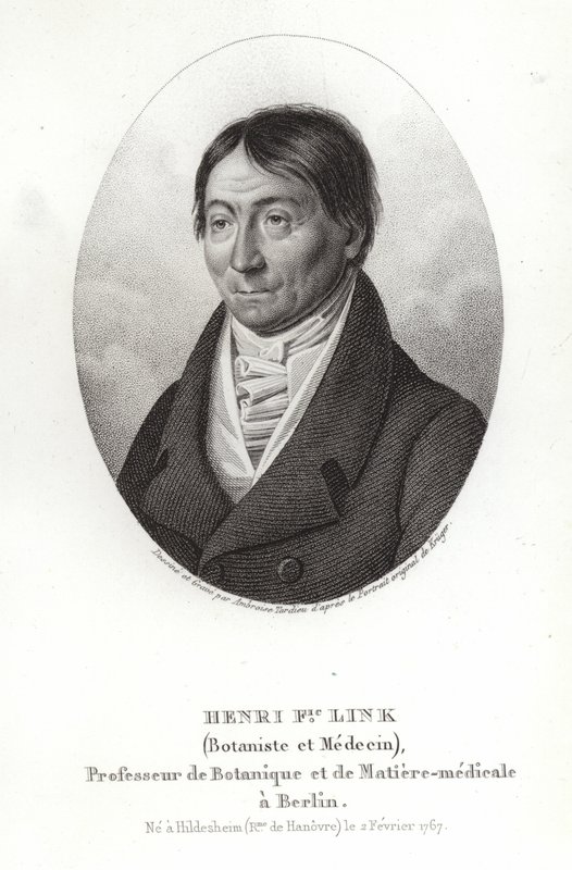 Johann Heinrich Friedrich Link von German School