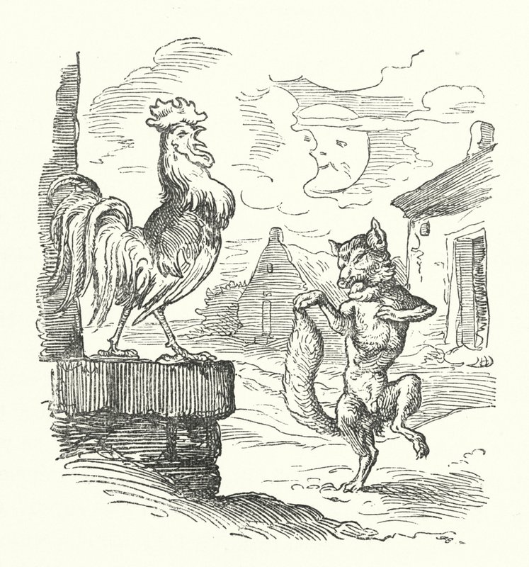 Der Hahn und der Fuchs von German School