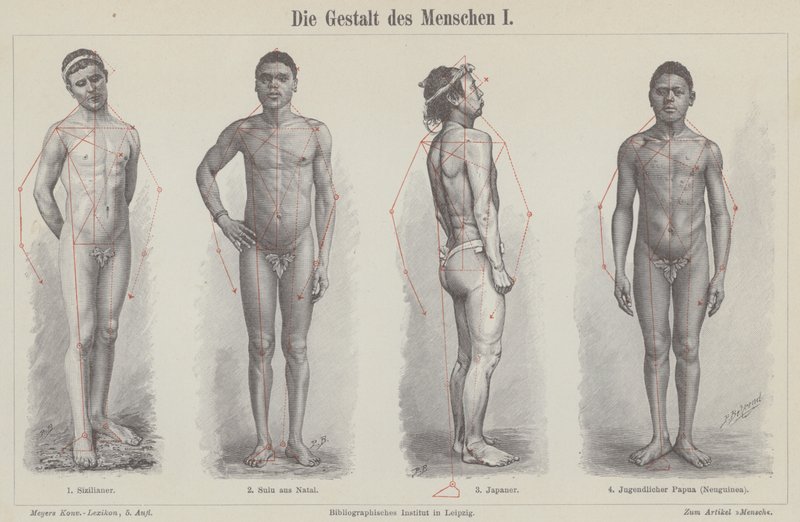 Die menschliche Figur (Stich) von German School