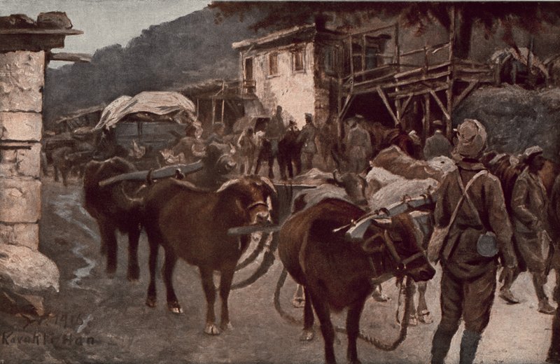 Die Türkei im Weltkrieg von German School