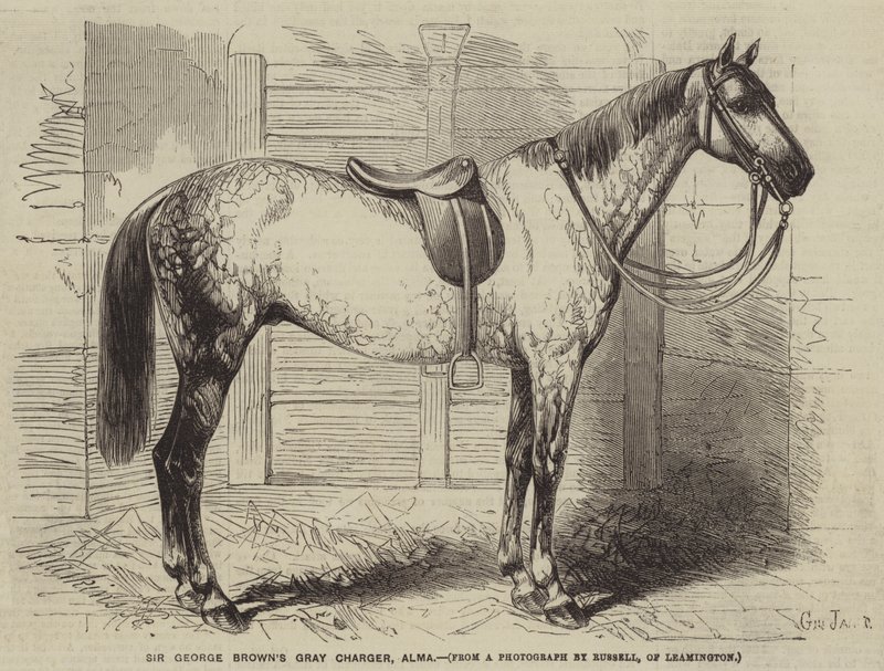 Sir George Browns grauer Hengst, Alma von Gustave Janet