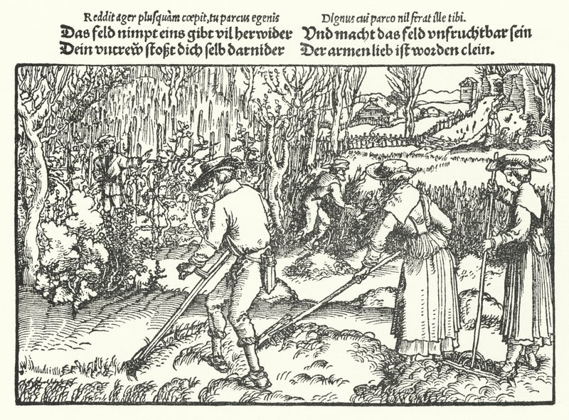 Die Schnitter von Hans (after) Burgkmair