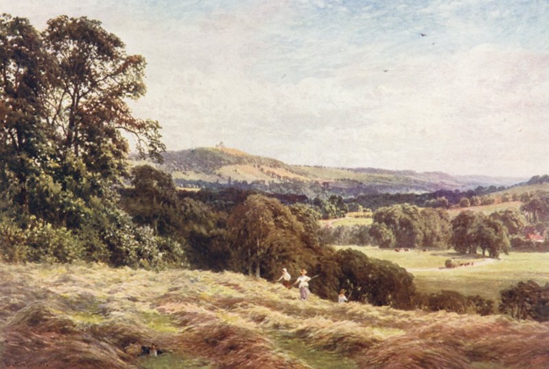 Ein Heufeld, Wonersh von Harold Sutton Palmer