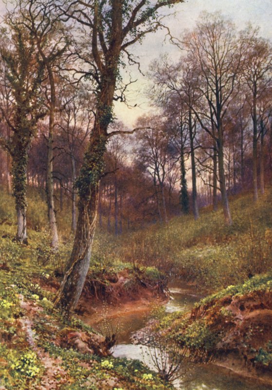 Abendliche Einsamkeit, Ockley von Harold Sutton Palmer