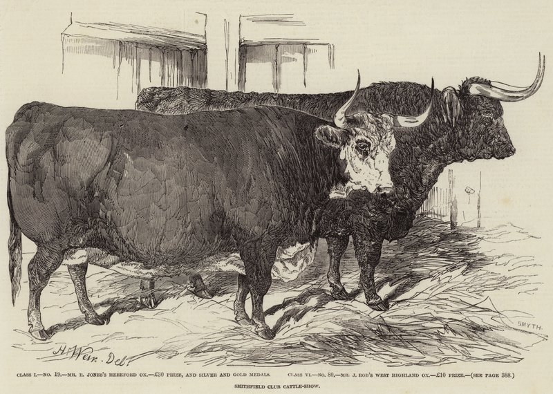 Smithfield Club Viehschau von Harrison William Weir