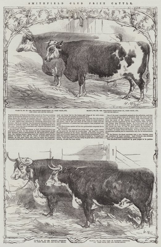 Smithfield Club Preisrinder von Harrison William Weir