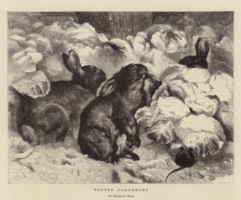 Wintergärtner von Harrison William Weir