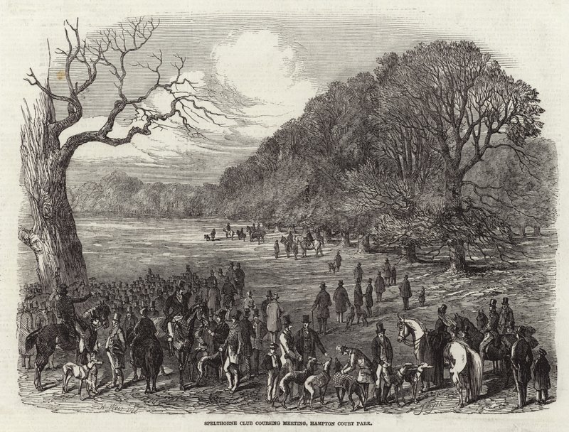 Spelthorne Club Coursing Meeting von Harrison William Weir