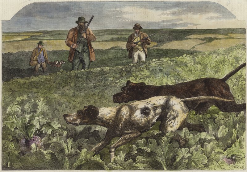 Der erste September von Harrison William Weir
