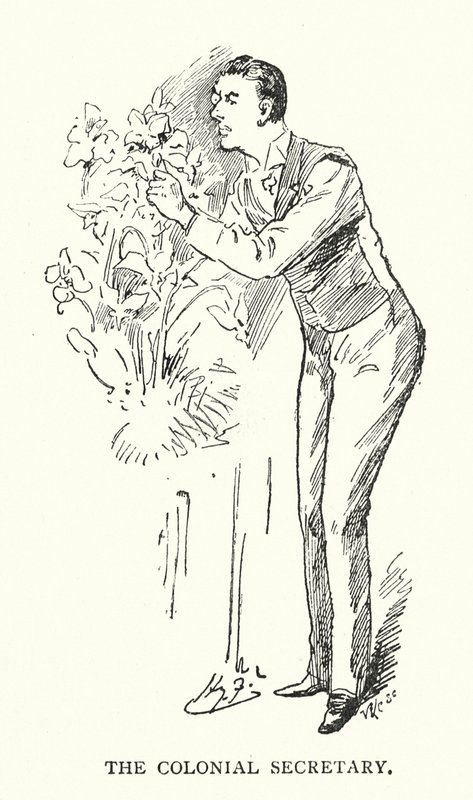 Der Kolonialsekretär von Harry (after) Furniss