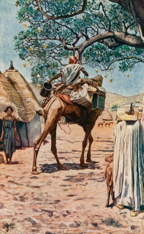 In Bornu von Harry Hamilton Johnston