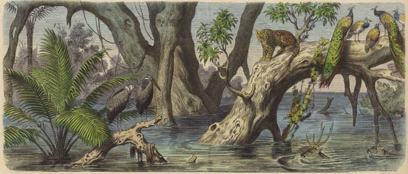 Überschwemmung in Ostindien von Heinrich Leutemann