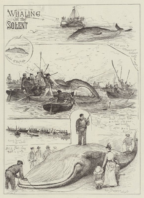 Walfang im Solent von Henry Charles Seppings Wright