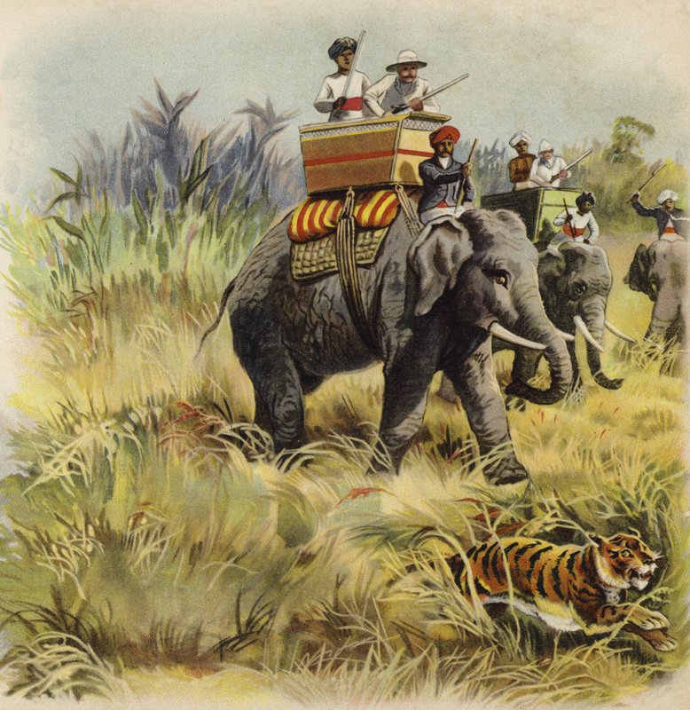 Der Prinz von Wales auf Tigerjagd in Indien von Henry Payne