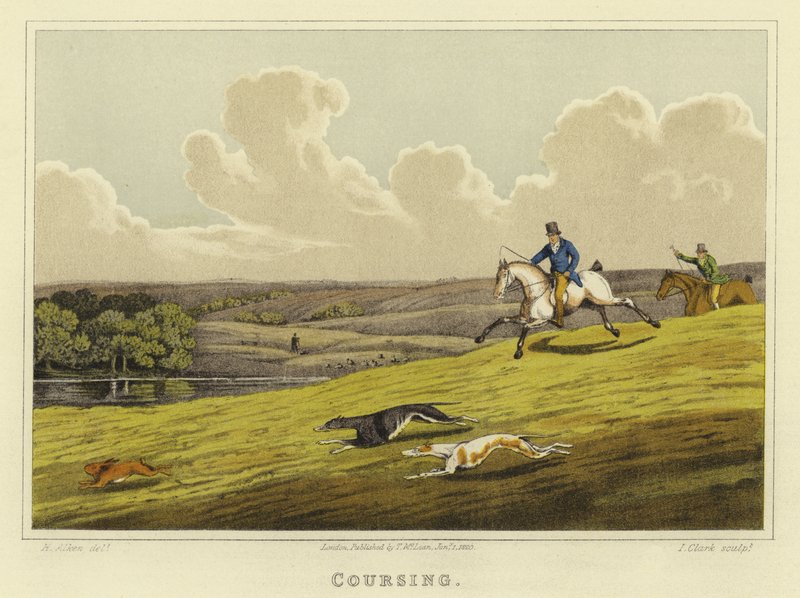 Hetzjagd von Henry Thomas Alken