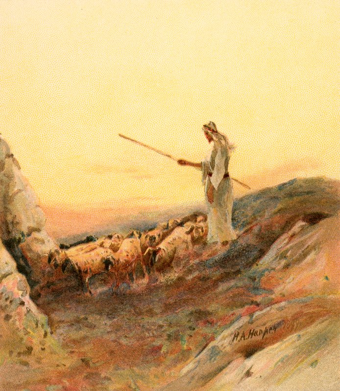 Ein Schäfer zählt seine Schafe von Henry Andrew Harper