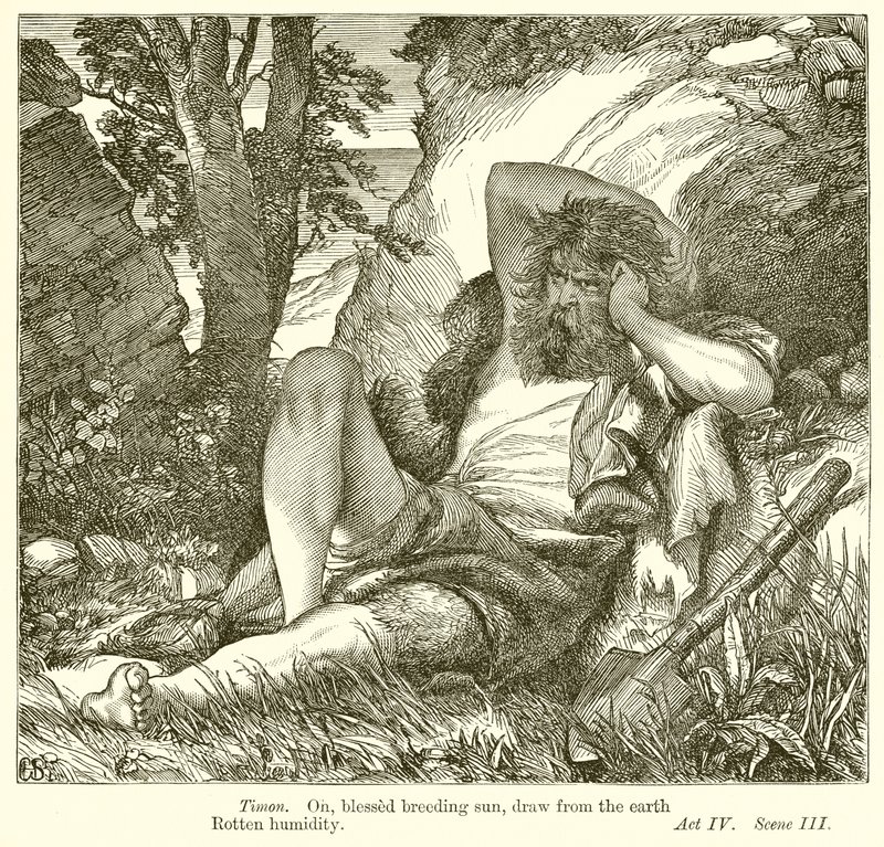 Timon von Athen von Henry Courtney Selous