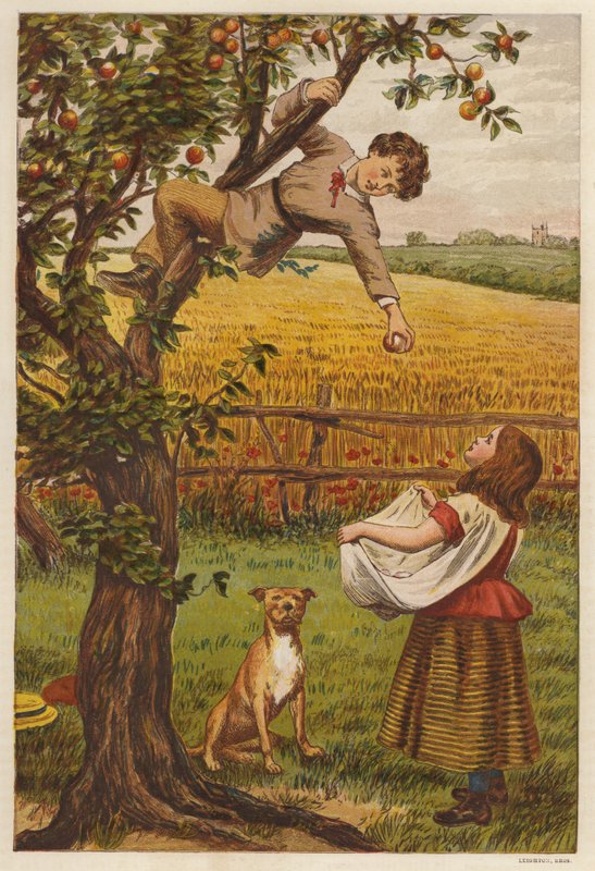 Äpfel pflücken von Henry Robert Robertson