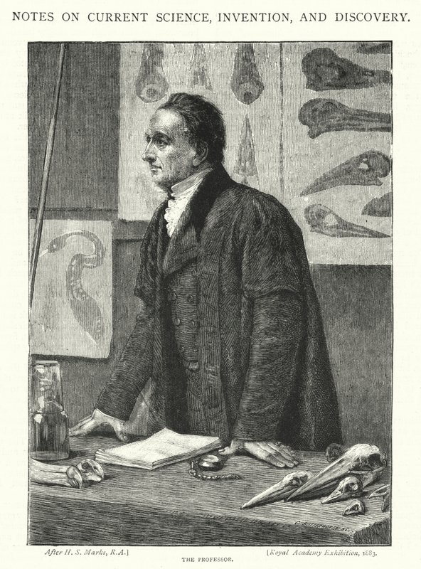 Der Professor (Gravur) von Henry Stacey (after) Marks