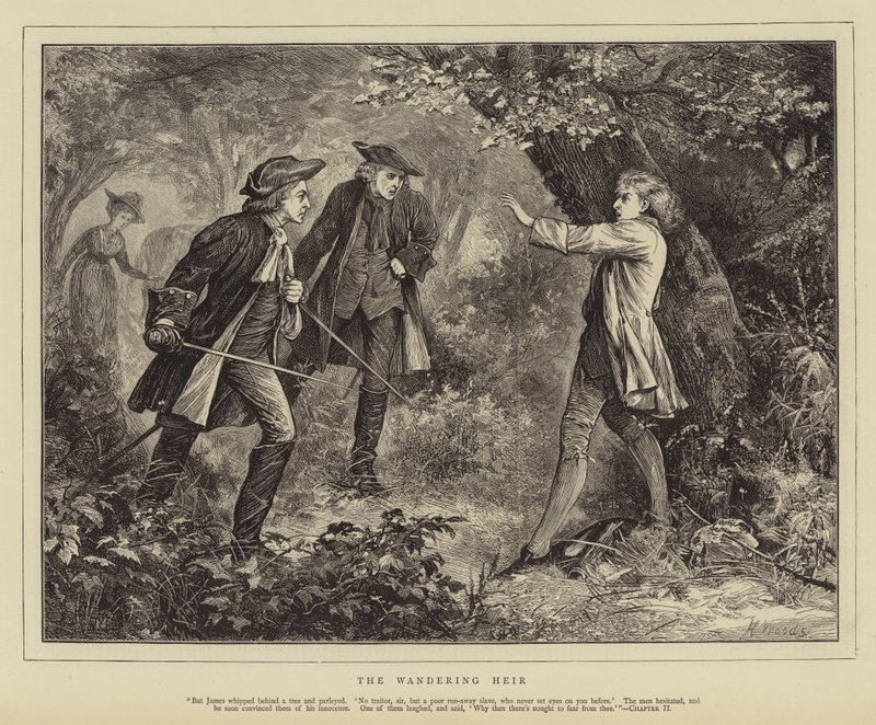Der wandernde Erbe von Henry Woods