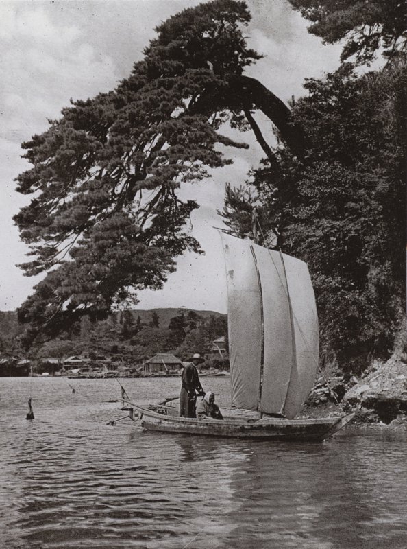 In Matsushima von Herbert Ponting