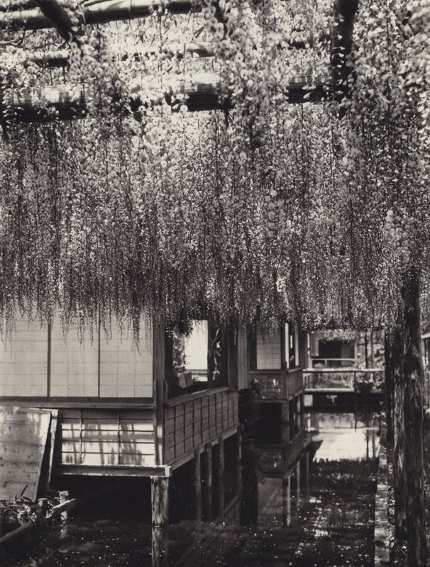 Japan in den 1920er Jahren: Tokio, Kameido von Herbert Ponting