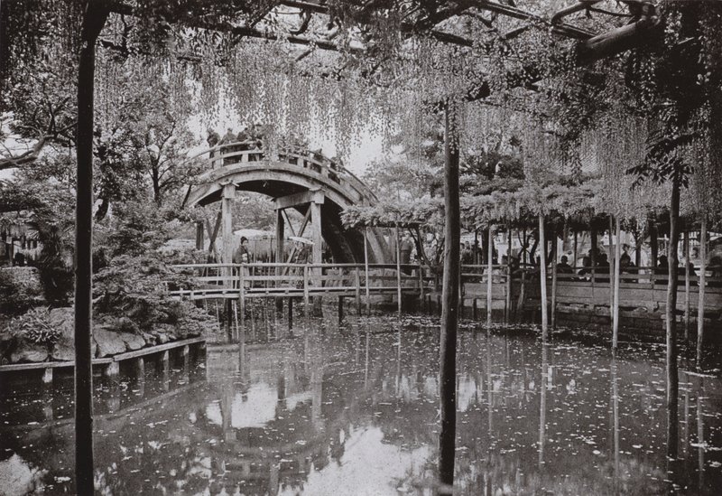 Kameido von Herbert Ponting
