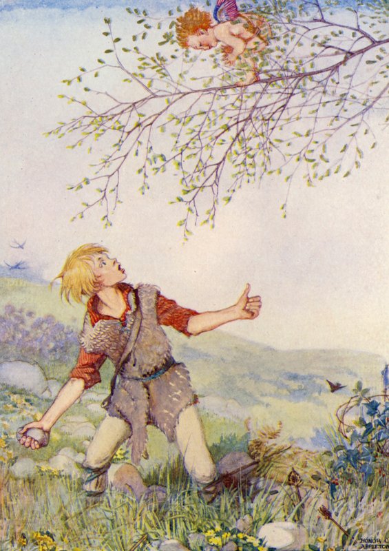 Der Kalender des Schäfers von Honor Charlotte Appleton