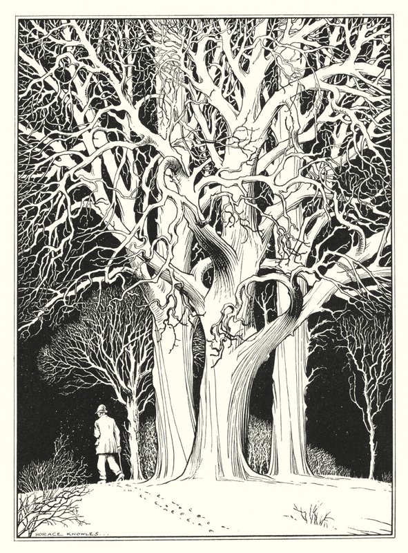 Dezember von Horace J. Knowles