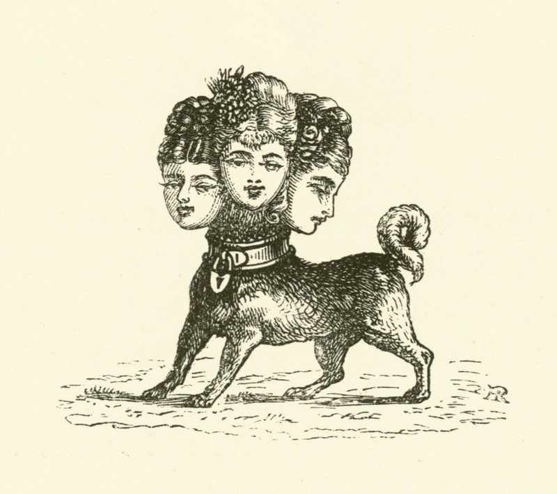 Weiblicher Cerberus von Hugh Rowley