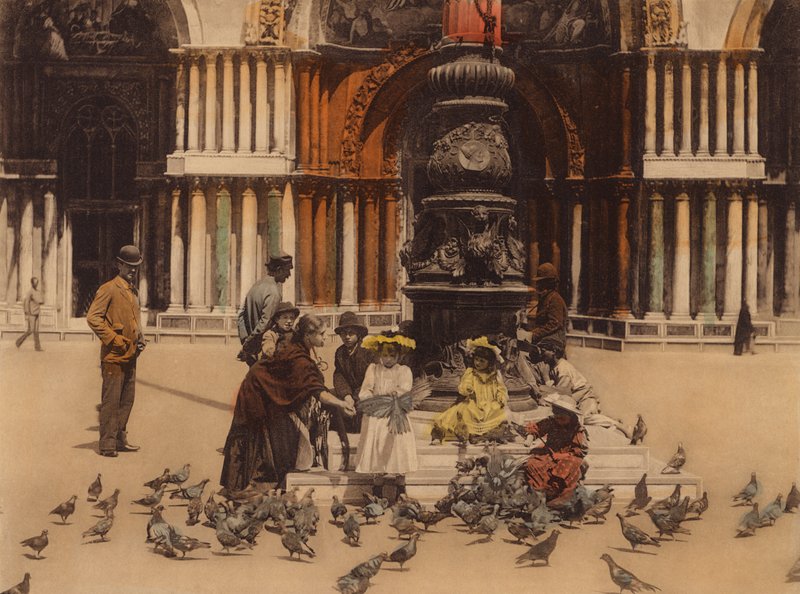 Venedig: Tauben von Italian Photographer