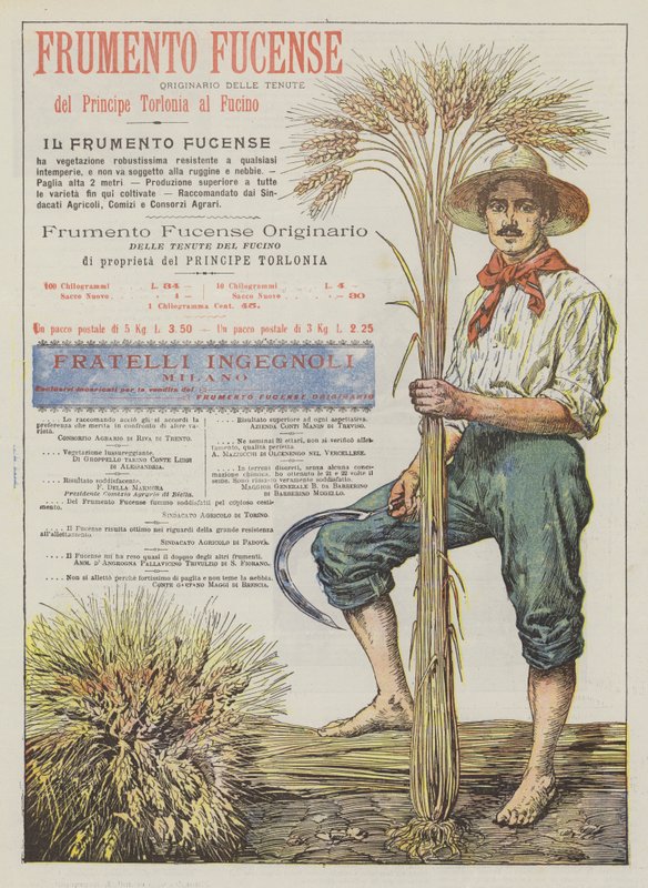 Frumento Fucense von Italian School