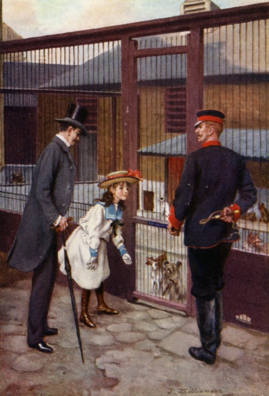 Ethel findet Scamp von J. Williamson