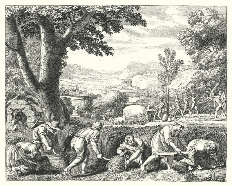 Ernteszene (Gravur) von Jacques Stella