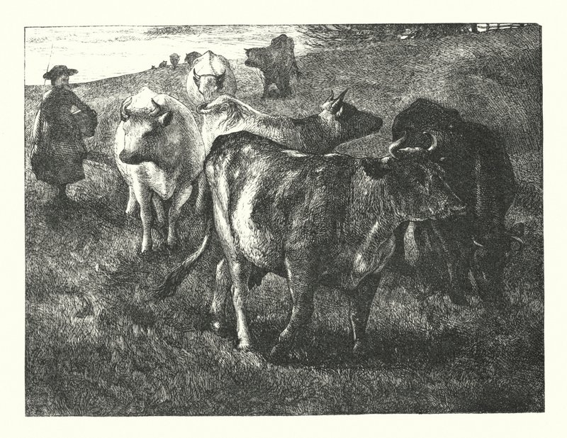 Elegie, geschrieben auf einem Landkirchhof von James Dawson Watson