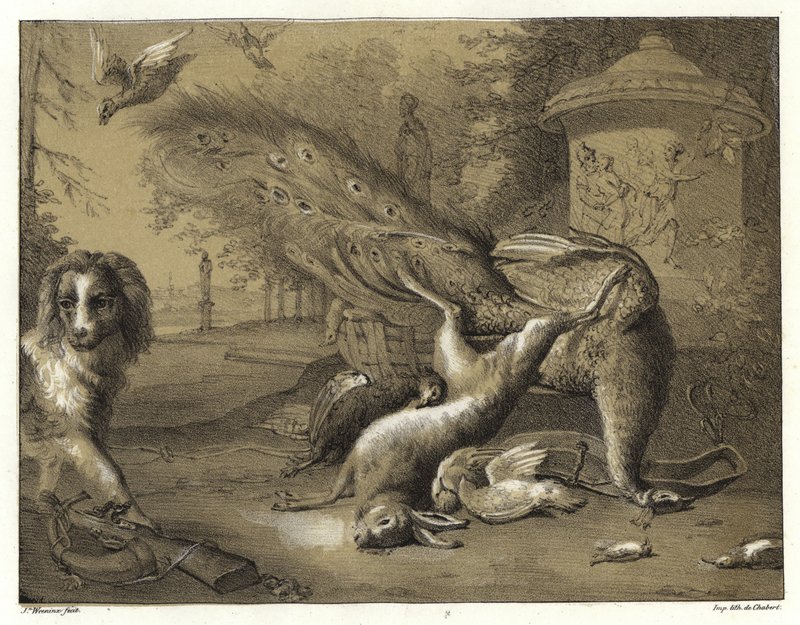 Stillleben mit einem Pfau und einem Hund von Jan Baptist Weenix