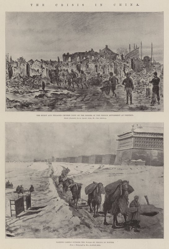 Die Krise in China von Johann Nepomuk Schonberg