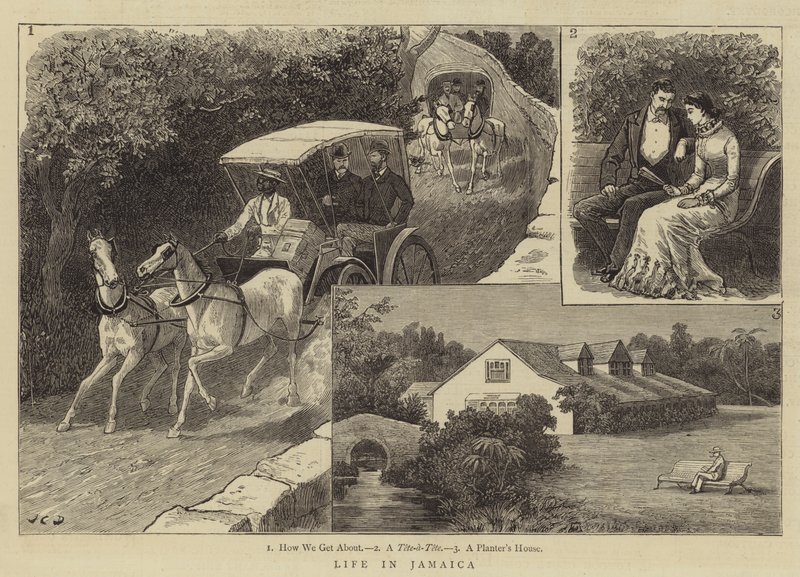 Leben in Jamaika von John Charles Dollman
