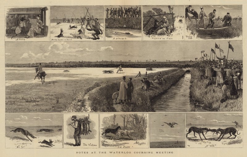 Notizen beim Waterloo Coursing Meeting von John Charles Dollman