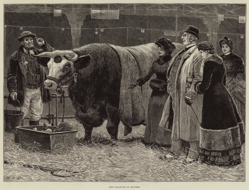 Das Vergnügen des Erfolgs von John Charles Dollman