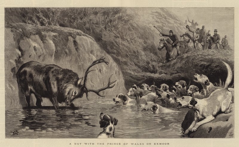 Ein Tag mit dem Prinzen von Wales auf Exmoor von John Charlton