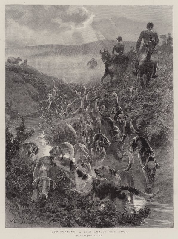 Cub-Hunting, eine Jagd über das Moor von John Charlton