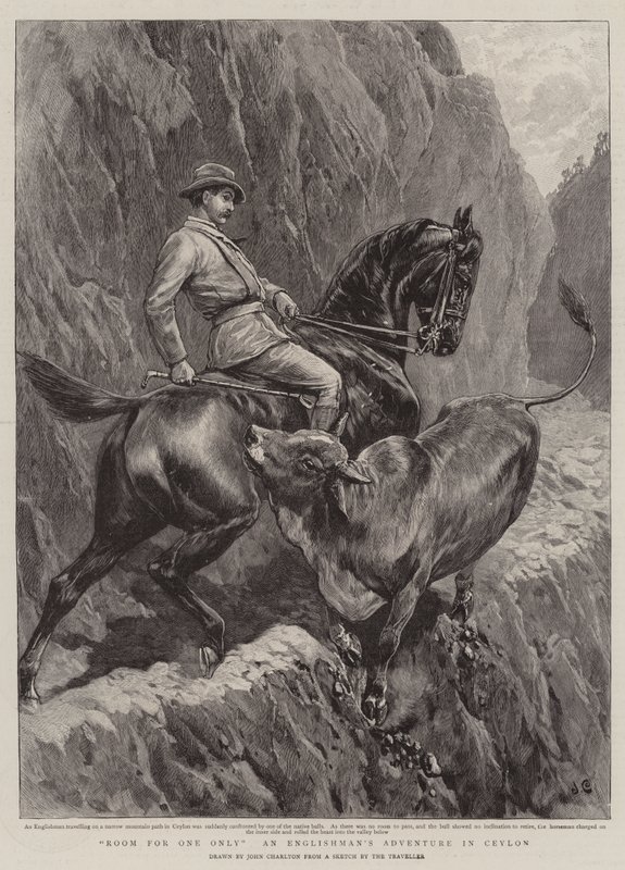 Zimmer für einen einzigen, ein englisches Abenteuer in Ceylon von John Charlton
