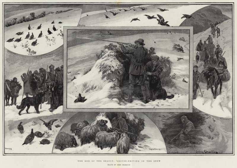 Das Ende der Saison, Moorhuhnjagd im Schnee von John Charlton